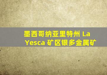 墨西哥纳亚里特州 La Yesca 矿区银多金属矿